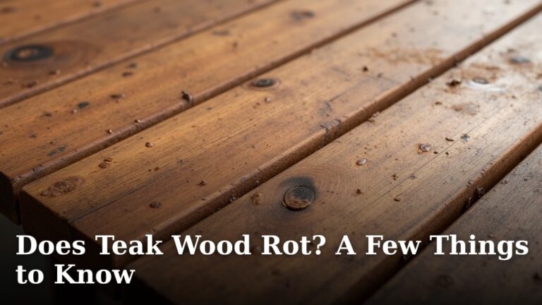 Does Teak Wood Rot? A Few Things to Know